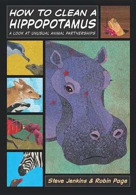 Book cover for How to Clean a Hippopotamus