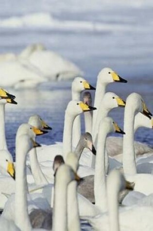 Cover of Journal Gaggle Geese Winter Lake