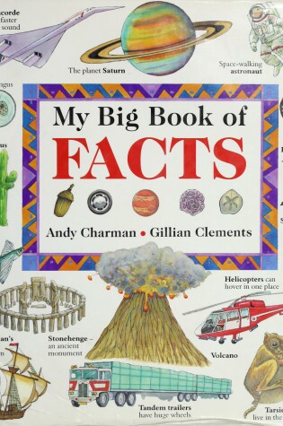Cover of My Big Book of Facts