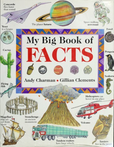 Book cover for My Big Book of Facts