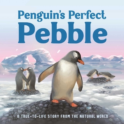 Book cover for Penguin's Perfect Pebble
