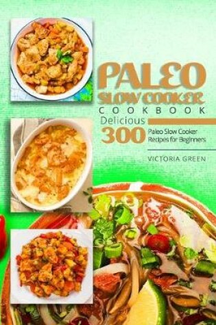 Cover of Paleo Slow Cooker Cookbook - Delicious 300 Paleo Slow Cooker Recipes for Beginners