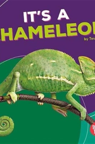 Cover of Its a Chameleon