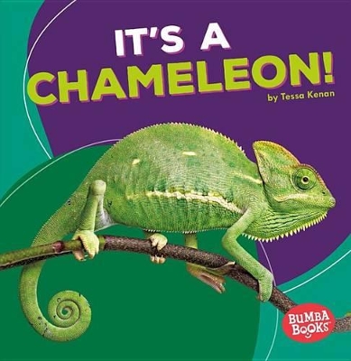 Cover of It's a Chameleon!