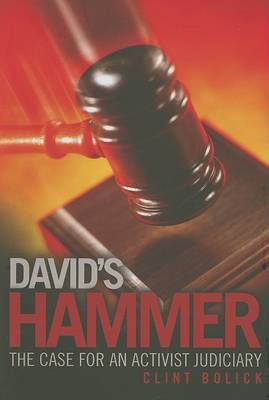 Book cover for David's Hammer