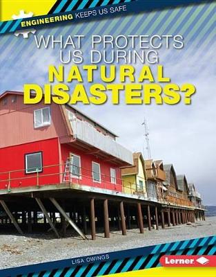 Cover of What Protects Us During Natural Disasters?