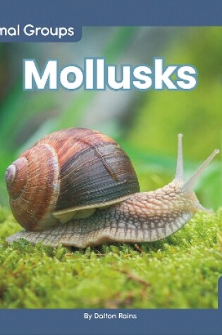 Cover of Animal Groups: Mollusks