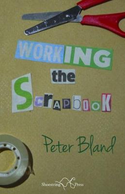 Book cover for Working the Scrapbook