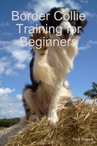 Cover of Border Collie Training for Beginners