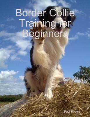 Book cover for Border Collie Training for Beginners