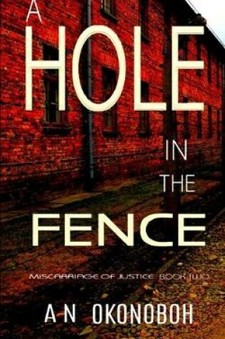 Cover of A Hole in the Fence