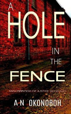 Book cover for A Hole in the Fence