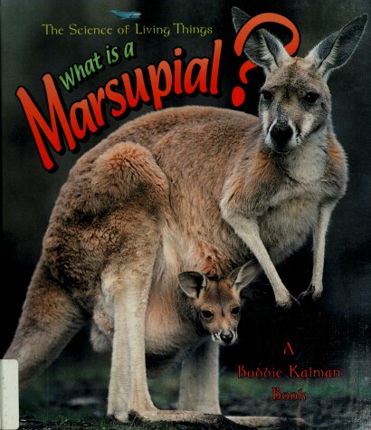 Cover of What Is A Marsupial