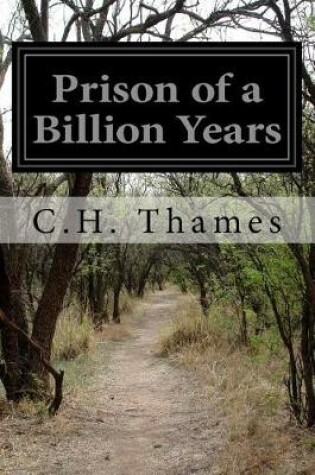Cover of Prison of a Billion Years