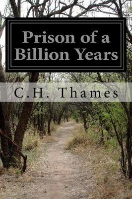 Book cover for Prison of a Billion Years