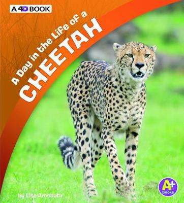 Book cover for A Day in the Life of a Cheetah: A 4D Book