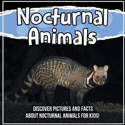 Cover of Nocturnal Animals