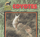 Book cover for Coyotes