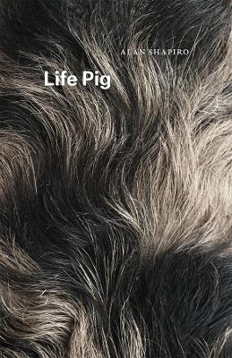 Cover of Life Pig