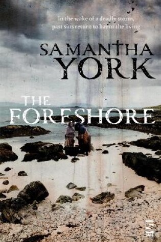 Cover of The Foreshore