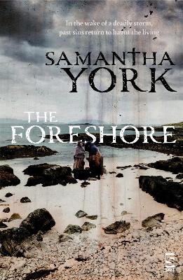 Book cover for The Foreshore