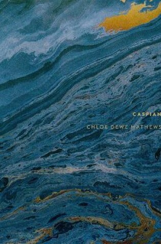 Cover of Chloe Dewe Mathews: Caspian: The Elements