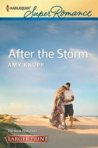 Cover of After the Storm