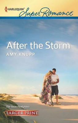 Book cover for After the Storm