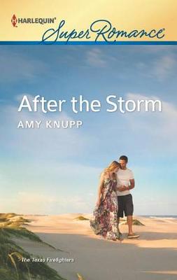 Book cover for After the Storm