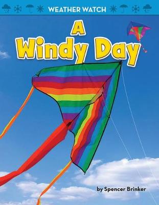 Book cover for A Windy Day