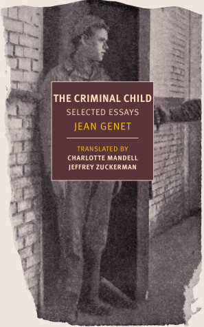 Book cover for Criminal Child