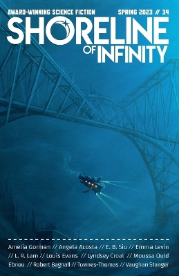 Book cover for Shoreline of Infinity 34