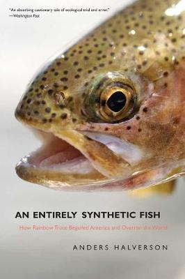 Cover of An Entirely Synthetic Fish