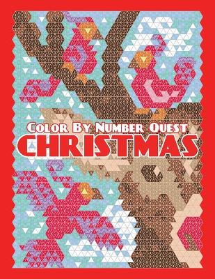 Book cover for CHRISTMAS Color By Number Quest