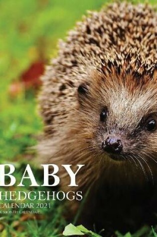 Cover of Baby Hedgehogs Calendar 2021