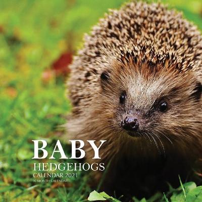 Book cover for Baby Hedgehogs Calendar 2021