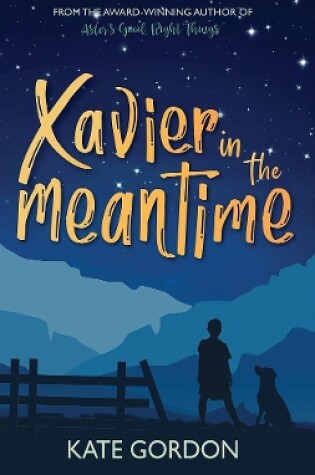 Cover of Xavier in the Meantime