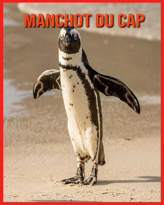 Book cover for Manchot du Cap