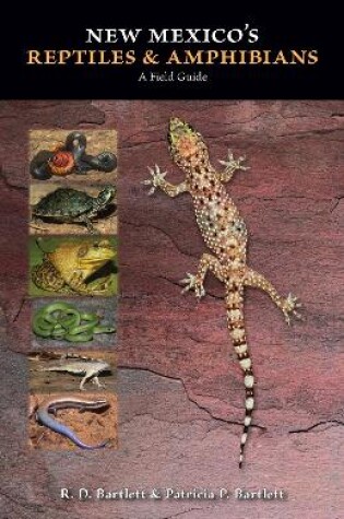 Cover of New Mexico's Reptiles and Amphibians