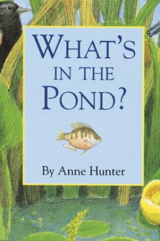 Cover of What's in the Pond?