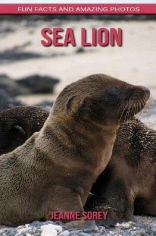 Cover of Sea Lion