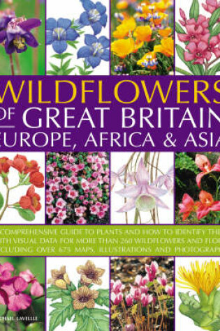 Cover of Wildflowers of Great Britain, Europe, Africa and Asia