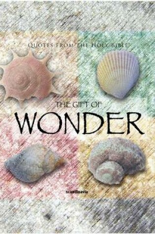 Cover of The Gift of Wonder (CEV Bible Verses)