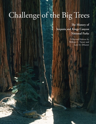 Book cover for Challenge of the Big Trees