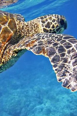 Cover of Green Sea Turtle in Clear Water, for the Love of Nature