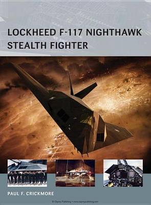 Book cover for Lockheed F-117 Nighthawk Stealth Fighter