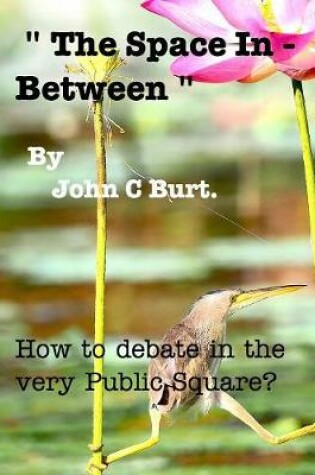Cover of " The Space In - Between " . How to debate in the very Public Square.