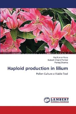 Book cover for Haploid production in lilium