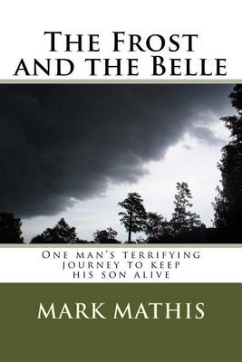Book cover for The Frost and the Belle