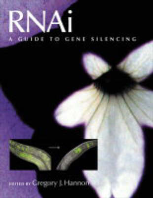 Cover of RNAi